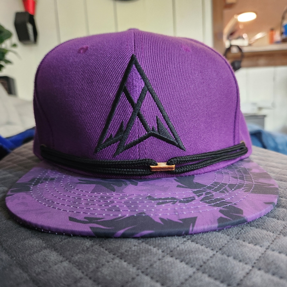 Findlay purple snapback
